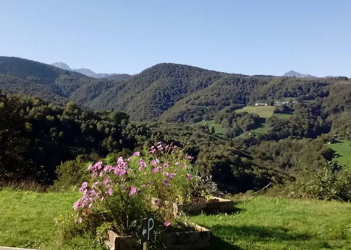 Les Granges De La Hulotte, Les Mésanges Lies